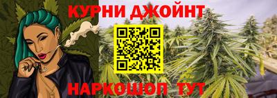 гашик Тула